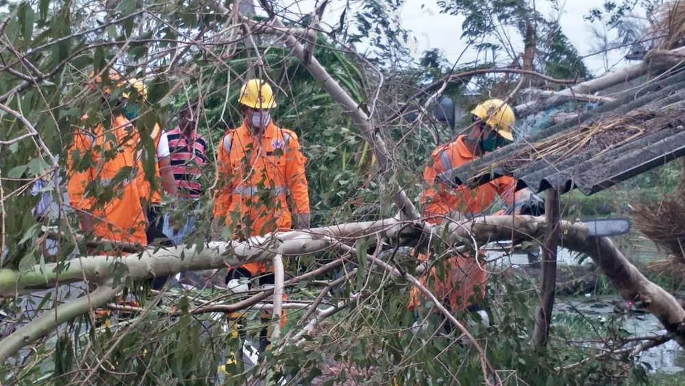 গোসাবায় গাছপালার প্রায় কোনও অস্তিত্ব নেই। বিপর্যয় মোকাবিলা বাহিনী যন্ত্রের সাহায্য়ে গাছ কেটে রাস্তা সাফ করার কাজ শুরু করেছে।