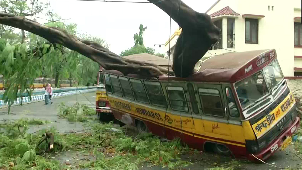 গলফগ্রিনে ভেঙে পড়া গাছের চাপে খেলনা গাড়ির মতো তুবড়ে গিয়েছে মিনিবাস।