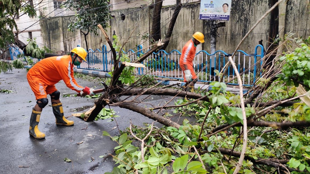 আলিপুরে ভেঙে পড়া গাছ সরিয়ে স্তব্ধ শহরে প্রাণ ফেরানোর কাজে তৎপর বিপর্যয় মোকাবিলা বাহিনীর কর্মীরা।