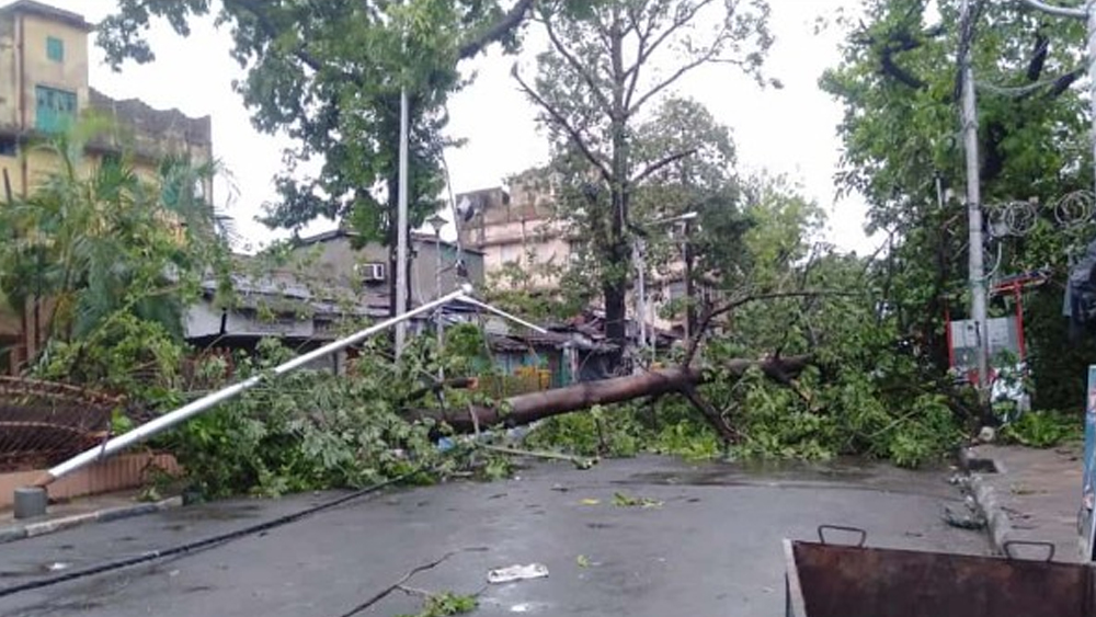 কাশীপুরে গাছের সঙ্গে তুবড়ে গিয়েছে বাতিস্তম্ভ।