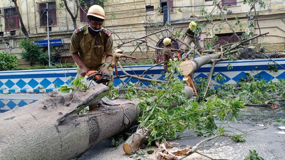 কলকাতার চাঁদনি চকে বৈদ্যুতিন যন্ত্র দিয়ে কাটা হচ্ছে ভেঙে পড়া গাছ।