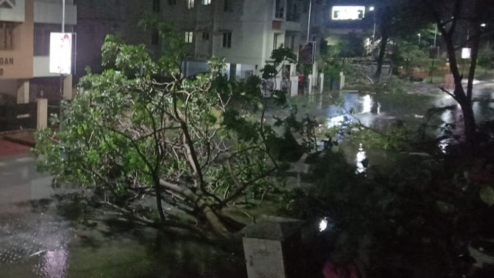 সল্টলেক ও নিউটাউনেও নির্বিচারে ভেঙে পড়েছে গাছ। কোথাও গাছের কাণ্ডের মাঝখান থেকে, কোথাও বা শিকড় থেকে উপড়ে গিয়েছে বিশাল গাছ। বুধবার সন্ধ্যায় তীব্র ঝড়ের মধ্যেই গাছ ভেঙে বিপর্যস্ত নিউটাউনের বিসি ব্লক।