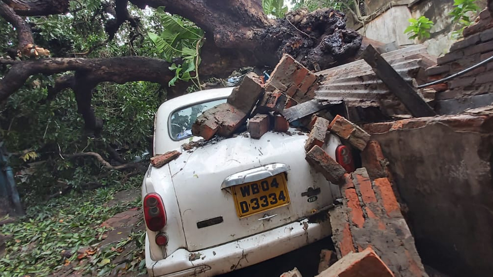 ল্যান্সডাউনের পদ্মপুকুরে ঘূর্ণিঝড়ে বাড়ি ও গাড়ির উপরে ভেঙে পড়েছে একশো বছরেরও প্রাচীন আমগাছ।