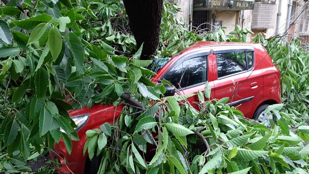 কলকাতার রাস্তায় আমপানের তাণ্ডবে তুবড়ে যাওয়া গাড়ি।