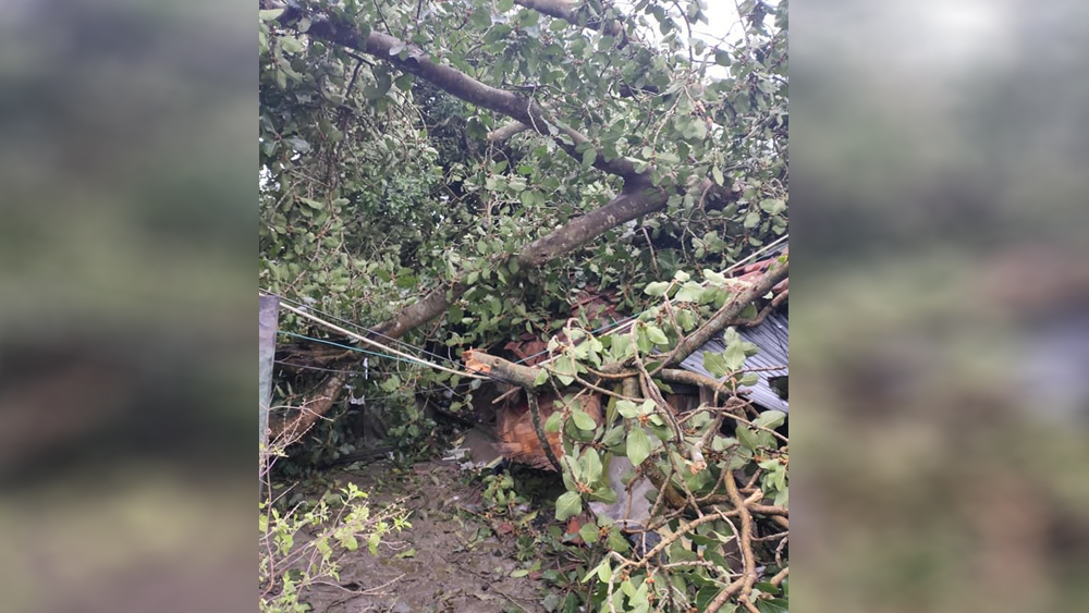 উত্তর ২৪ পরগনার গোবরডাঙাও লন্ডভন্ড আমপানের বিধ্বংসী লীলায়।