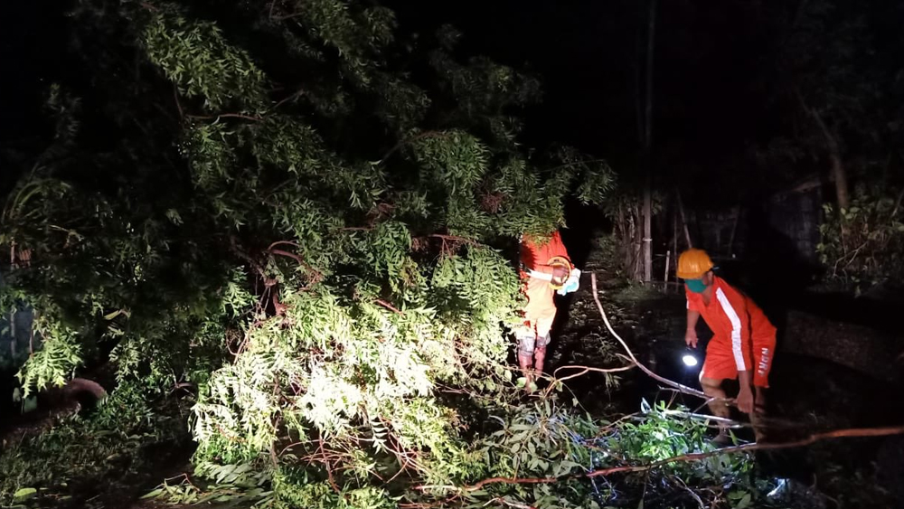 উত্তর ২৪ পরগনার হিঙ্গলগঞ্জে রাতের অন্ধকারেই শুরু হয়েছে ভেঙে পড়া গাছ তোলার কাজ।