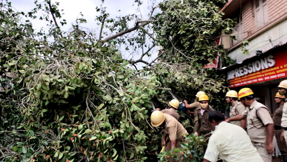 শ্রীরামপুরে পুলিশকর্মীদের সঙ্গে হাত লাগিয়েছেন সাধারণ মানুষও। চেষ্টা চলছে ভেঙে পড়া গাছ সরানোর।
