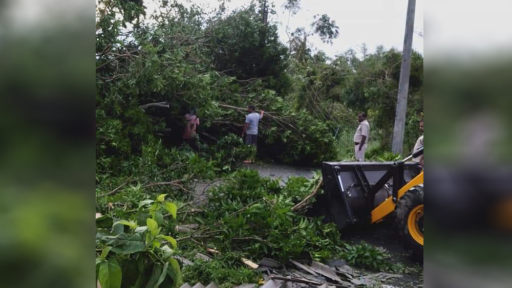 ঝড়ের তাণ্ডবে একের পর এক গাছ ভেঙে পড়েছে কাঁথি শহরে।