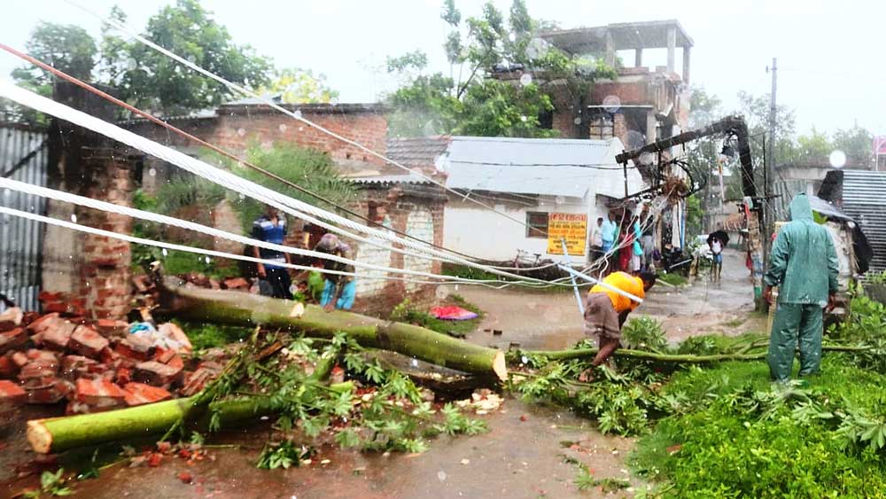 বর্ধমানের গোদায় গাছ ভেঙে ছিঁড়ল বিদ্যুতের তার। —নিজস্ব চিত্র