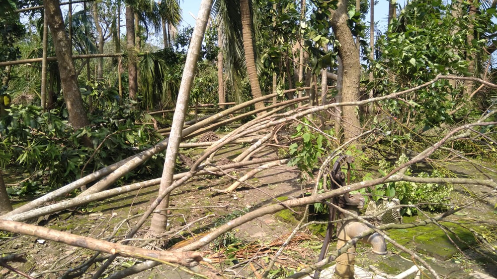 রাজ্যের সব অংশেই নির্বিচারে আমপানের মাশুল দিয়েছে অসংখ্য গাছ। স্বরূপনগরে নলকূপের উপর ভেঙে পড়া গাছ এখনও সরানো হয়নি। আরও গভীর স্থানীয় বাসিন্দাদের পানীয় জলের সঙ্কট।