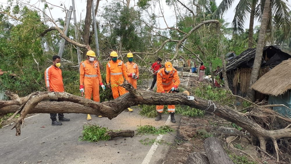 সারা রাজ্যের অন্য অংশের মতো গাছ পড়ে পথ বন্ধ পূর্ব মেদিনীপুরের হলদিয়ায়। কিছুটা হলেও পরিস্থিতি স্বাভাবিক করার কাজ শুরু করেছেন বিপর্যয় মোকাবিলা বাহিনীর কর্মীরা।