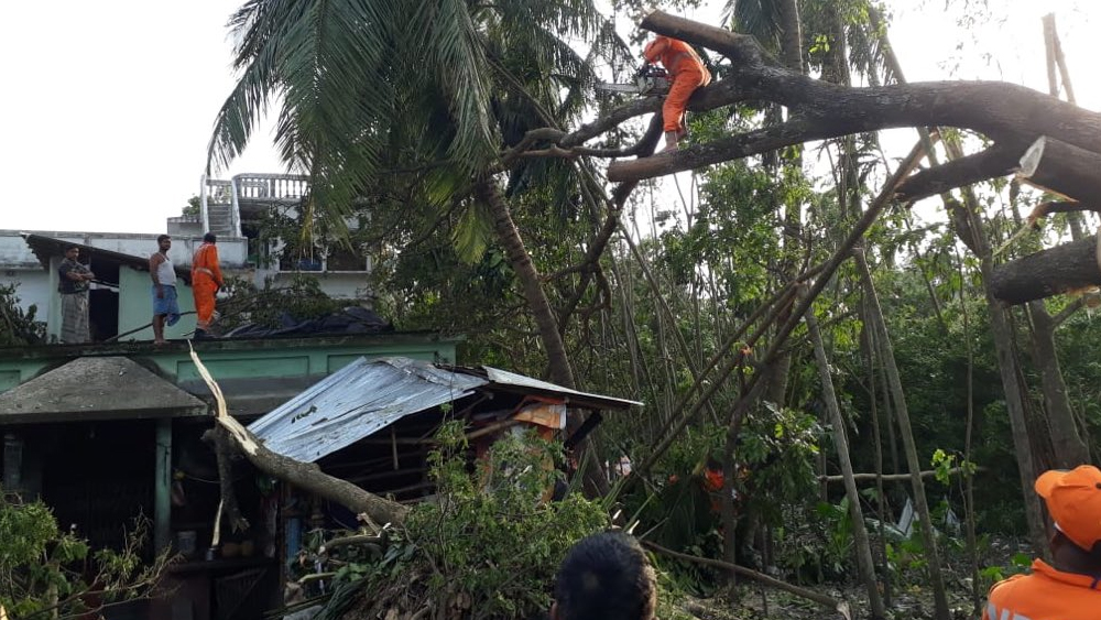 গাছ পড়ে স্তব্ধ বসিরহাটের জনজীবনও। যুদ্ধকালীন তৎপরতায় চলছে পরিস্থিতি স্বাভাবিক করার কাজ।