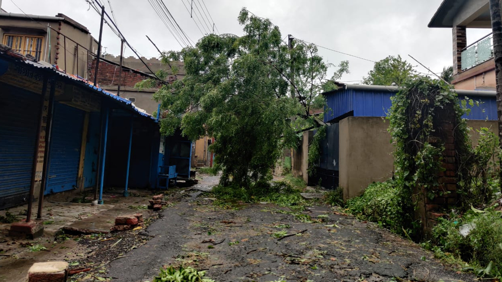 আমপানের প্রলয়লীলায় গাছ পড়ে হাওড়ার বালিতে। কবে ফিরবে স্বাভাবিক জীবন? অপেক্ষার প্রহর গুনছে আমপান-ধ্বস্ত বাংলা।
ছবি: নিজস্ব চিত্র এবং বিভিন্ন এজেন্সি।