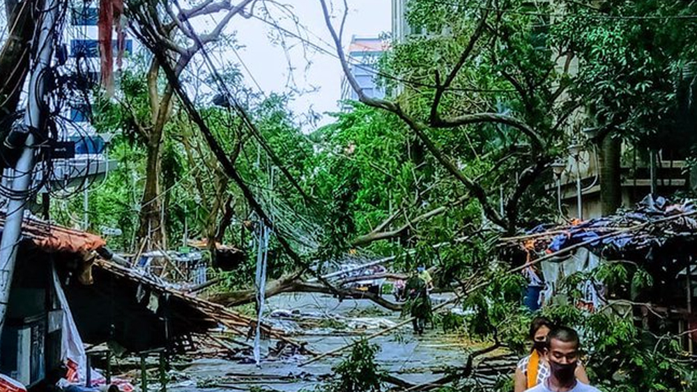 বিভিন্ন রাস্তায় এ ভাবেই পড়ে রয়েছে বড় বড় গাছ।