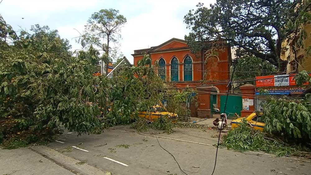 রিপন স্ট্রিট, জোড়া গির্জার কাছে পর পর ছ’টি গাছ পড়ে রাস্তার এক দিক বন্ধ।
