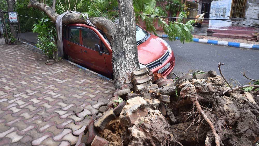 উপড়ে পড়া গাছ পড়েছে গাড়ির মাথায়। এ ভাবে ক্ষতিগ্রস্ত হয়েছে রাস্তায় থাকা অনেক গাড়ি।