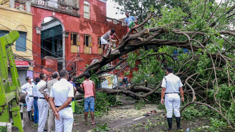 শহর জুড়ে পুলিশের তদারকিতে এ ভাবেই চলছে গাছ কাটা।
