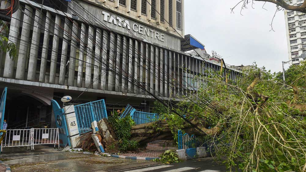 টাটা সেন্টারের সামনে তার-গাছের জঙ্গলে হারিয়েছে রাস্তা।