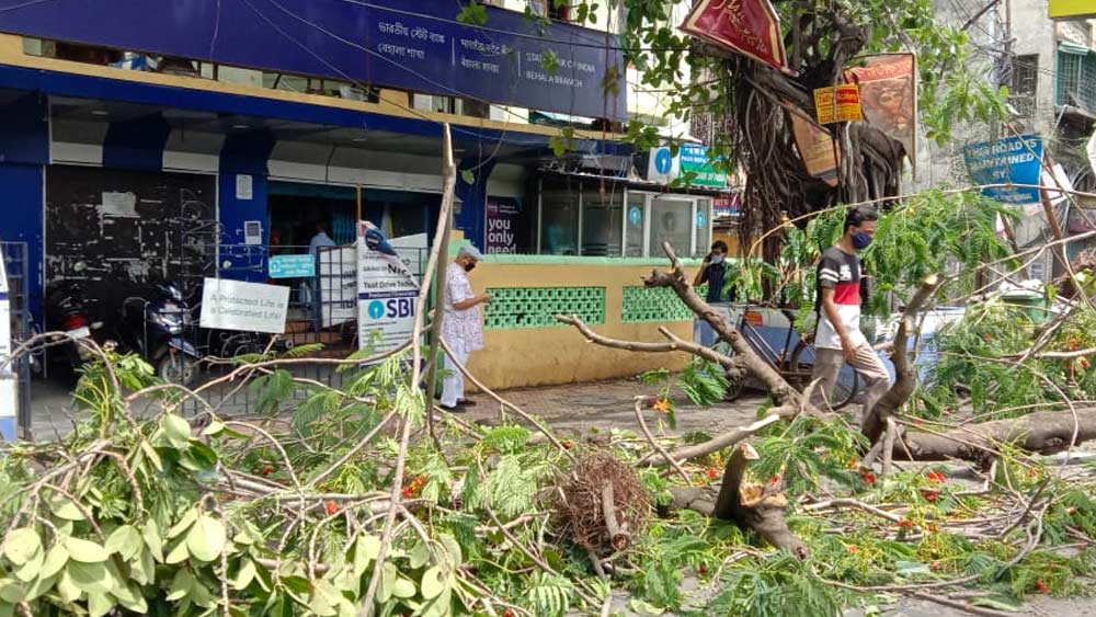 বেহালার ট্রামডিপোয় গাছ টপকেই এটিমে যাওয়া-আসা।