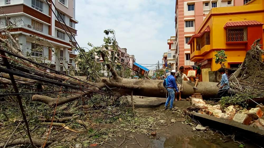 শকুন্তলা পার্কে বন্ধ রাস্তা। পেল্লায় গাছ সরানোর চেষ্টা চলছে।