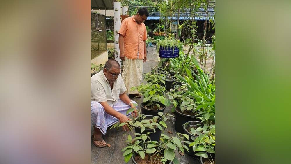 কেরলে পাথরের ব্যবসা আছে এই দুই ভায়ের। কিন্তু তাঁদের দু’জনেরই শখ ছিল চাষের। সেই মতো ২০১১তে  জমি কেনেন তাঁরা। তার পর পাথরের ব্যবসার পাশাপাশি শুরু করেন ফার্মল্যান্ড তৈরির কাজ। এ ব্যাপারে আব্দুল সালিম বলেছেন, ‘‘আমরা দুই ভাই কাজ ভাগ করে নিয়েছিলাম। সেই মতো আমাদের দুটো ব্যবসা সুন্দর ভাবে চলছে।’’