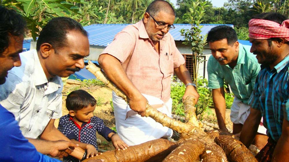একটা ফার্মল্যান্ডে এত রকম ফলের বৈচিত্র সত্যিই খুব কম জায়গায় দেখা যায়। সালিম বলেছেন, ‘‘আমরা এখনও অবধি সবথেকে দামি যে চারা কিনেছি, তা হল বার্মিজ আঙুর। কিন্তু দাম দিয়ে চারা কিনতে আমরা দু’বার ভাবিনি। কারণ দুর্লভ ফলেই আমরা সাজাতে চেয়েছি আমাদের বাগান।’’