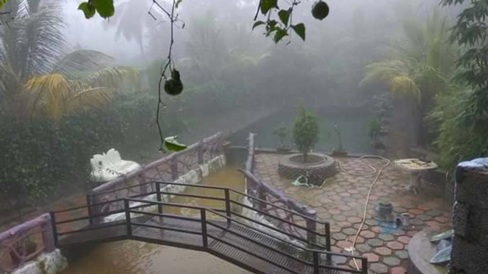 তবে কেরলের এই গ্রামে জলের অভাব হয়নি তাঁদের। কারণ, সেই গ্রামের কাছেই আছে জলপ্রপাত। সেখান থেকে প্রয়োজনীয় জল খুব সহজেই পেয়ে যান তাঁরা। সেই জলপ্রপাত দেখতে যাওয়া পর্যটকদের জন্য ঝর্নার কাছে একটি স্টলও খুলেছেন তাঁরা। তাঁদের ফার্মল্যান্ডের বিভিন্ন ফল বিক্রিও করা হয় সেখানে।