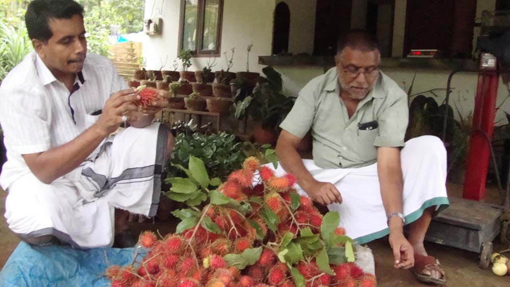 এ ব্যাপারে আব্দুল হামিদ বলেছেন, ‘‘কাকাদামপয়িল জলপ্রপাতে ঘুরতে আসা পর্যটকরা যাতে দুর্লভ ফল ও চারা কিনতে পারেন, সে জন্য আমরা একটা স্টল বানিয়েছি। কারও আগ্রহ জন্মালে সেখান থেকে আমাদের ফার্মল্যান্ডেও ঘুরতে চলে আসেন।’’