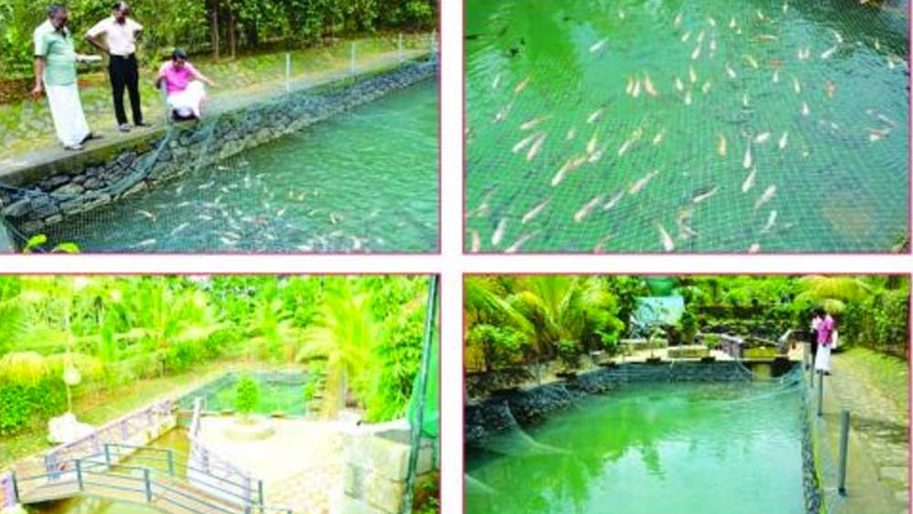 হামিদ ও সালিমের ১৮ একরের ওই ফার্মল্যান্ডে রয়েছে একাধিক জলাশয়। এই জলাশয়গুলিতে মাছ চাষ শুরু করেন তাঁরা।