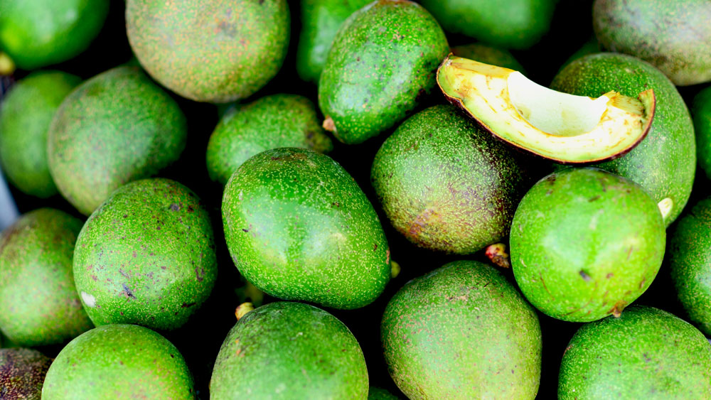 হৃদরোগীদের জন্য তো বটেই, সাধারণ মানুষজনের জন্যও অ্যাভোগাডো খুবই দরকারি। মনোস্যাচুরেটেড ফ্যাটের একটি বড় উৎস এই অ্যাভোগাডো। মনোস্যাচুরেটেড ফ্যাট কোলেস্টেরল ও ট্রাইগ্লিসারাইডকে যেমন কমাতে পারে, তেমনই টাইপ-২ ডায়াবিটিসকেও কমাতে সক্ষম। তাই মেয়োনিজের বদলে অ্যাভোগাডো গুঁড়ো যোগ করুন খাবারে। স্যালাডেও তা যোগ করতে পারেন।