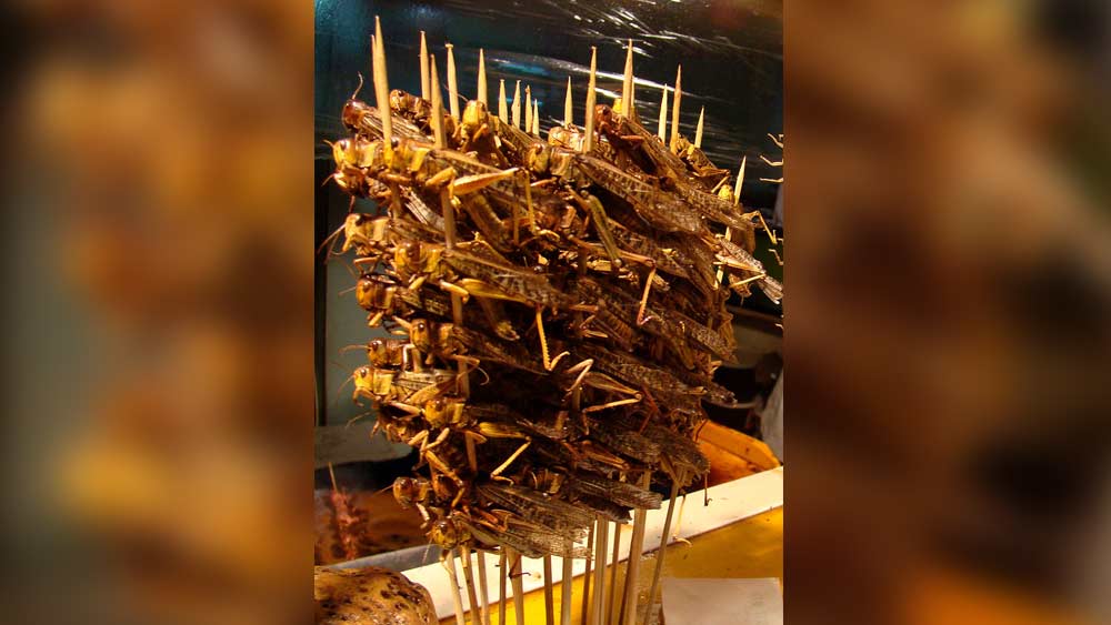 পঙ্গপালের আক্রমণের পরেই সে জায়গায় প্লেগের প্রাদুর্ভাব দেখা দিয়েছে অতীতে। আবার অন্যদিকে, পঙ্গপালকেও মানুষ নিজের খাদ্য বানিয়েছে। বিশ্বের অনেক দেশেই পঙ্গপাল লোভনীয় খাবার।