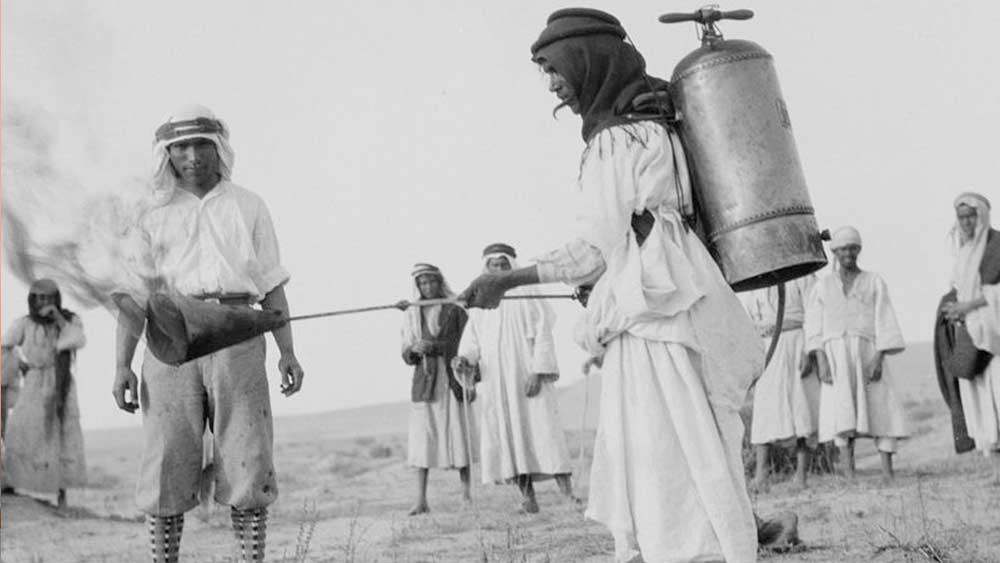 জমিতে কীটনাশক ছড়িয়ে, যন্ত্রের সাহায্যে, আগুনের হলকা ছুড়ে, জলাশয়ে ফাঁদ পেতে ধরা হয়েছে পঙ্গপালদের। ফলে পৃথিবীর বিভিন্ন প্রান্তে এর প্রকোপ কমেছে। কিন্তু কম হলেও পুরোপুরি বন্ধ হয়নি এর আক্রমণ।