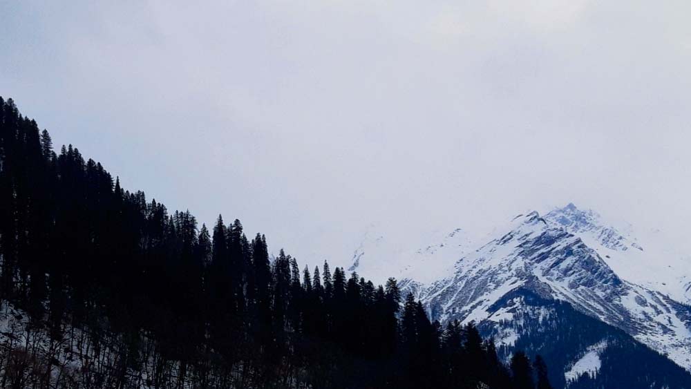 এক গোর্খা পরিবারে তাঁর জন্ম সিমলা শহরে। জন্মগত নাম ছিল বিদ্যা রাওয়ত। পরে তাঁর নাম হয় প্রতিমা।