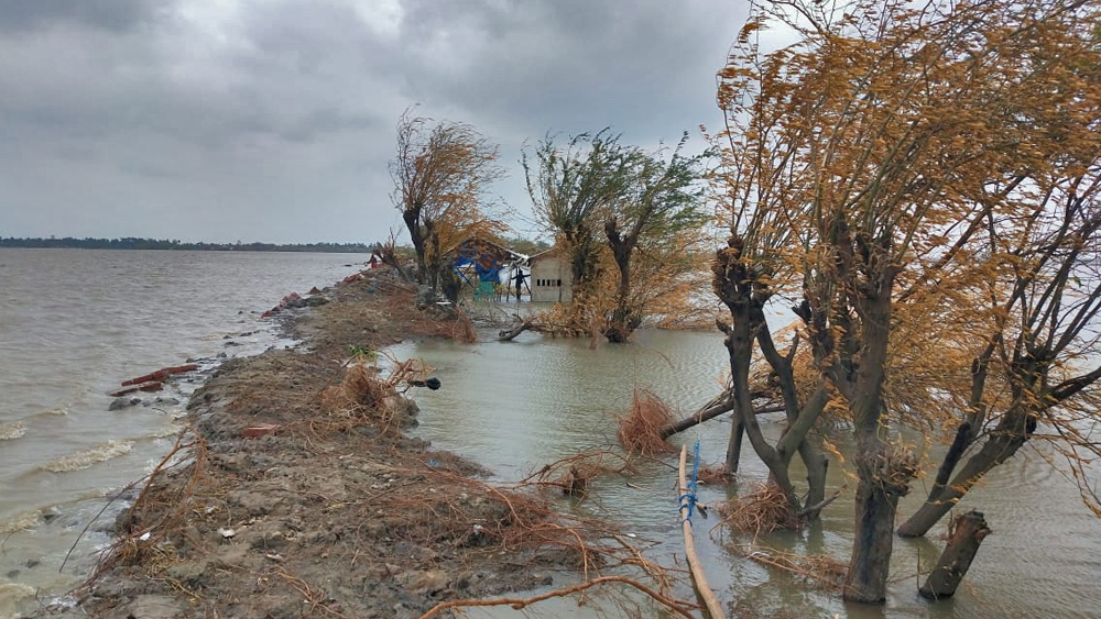 ন্যাজাটেও প্রচুর গাছপালা ভেঙে পড়েছে। জলের তোড়ে ভেসে গিয়েছে বহু বাড়িঘর ও দোকানপাট। তার মধ্যেই ত্রিপল খাটিয়ে কোনও রকমে মাথা গুঁজে রয়েছেন সাধারণ মানুষ।