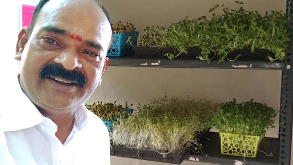 বিদ্যাধরণ মাইক্রোগ্রিনের চাষ শুরু করেন ২০১৮-র অক্টোবরে। মাত্র ১৫ হাজার টাকা নিয়ে এই ব্যবসা শুরু করেছিলেন তিনি।