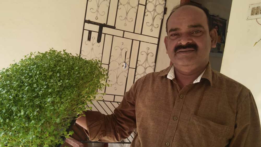 তার পর যোগ দেন একটি স্বেচ্ছাসেবী সংস্থায়। সেখানে শিক্ষার অধিকার নিয়ে প্রায় ১০ বছর কাজ করেন। সেই কাজ ছেড়ে ২০০৩ তৈরি করেন নিজের স্বেচ্ছাসেবী সংস্থা। শিশুদের অধিকার নিয়েই কাজ করত তাঁর সংস্থা।