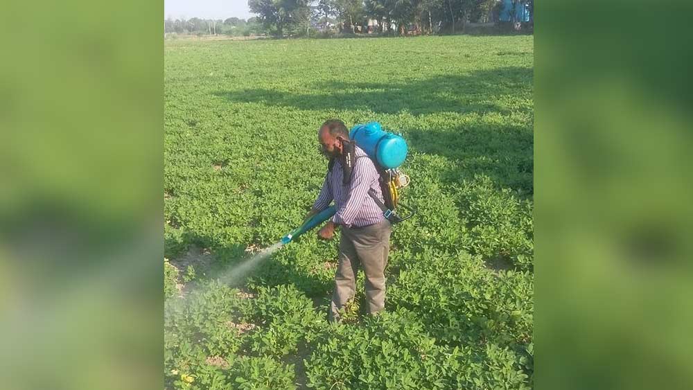 এর আগে চেন্নাই থেকে ৯০ কিলোমিটার দূরে উথিরামেরুরে তিন লক্ষ টাকা খরচ করে কিনেছিলেন জমি। সেখানে ধান ও বাদাম চাষ শুরু করেছিলেন। কিন্তু বেশ কয়েক বছর পরও তেমন লাভ হচ্ছিল না। তাই ২০১১ সালে সেই চাষ পুরোপুরি বন্ধ করে দেন তিনি।
