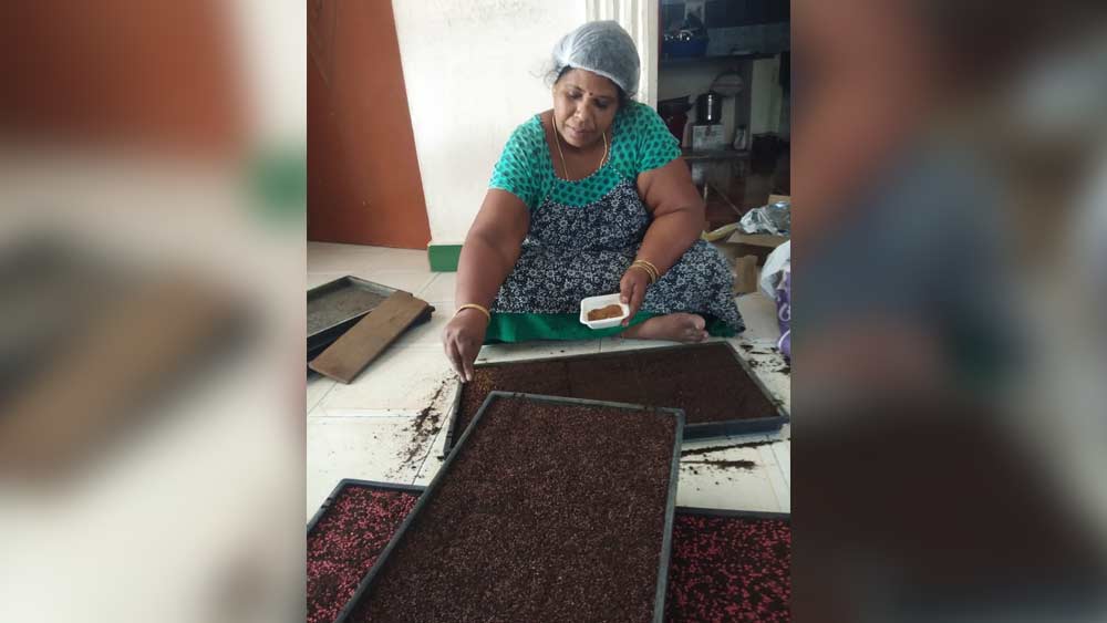 সেই বীজের অঙ্কুর বের হলে মাটি ভর্তি ট্রের মধ্যে স্থানান্তরিত করেন। তার পর সেই ট্রে এমন জায়গায় রাখেন, যাতে আলো পেলেও সরাসরি সূর্যালোক না পড়ে। এ ভাবে পরবর্তী ষষ্ঠ ও সপ্তম দিন অবধি সেই ট্রের উপর জল স্প্রে করতে থাকেন।