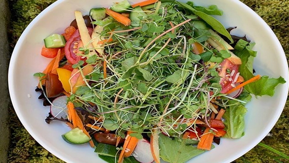 মাত্র কয়েক বছর আগে ১৫ হাজার টাকা দিয়ে শুরু করা ব্যবসা থেকে বিদ্যাধরনের এখন মাসে লাভ ৮০ হাজার। ব্যবসা আরও বাড়ানোর বিষয়ে চিন্তাভাবনাও তাঁর রয়েছে বলে জানিয়েছে‌ন বিদ্যাধরন।