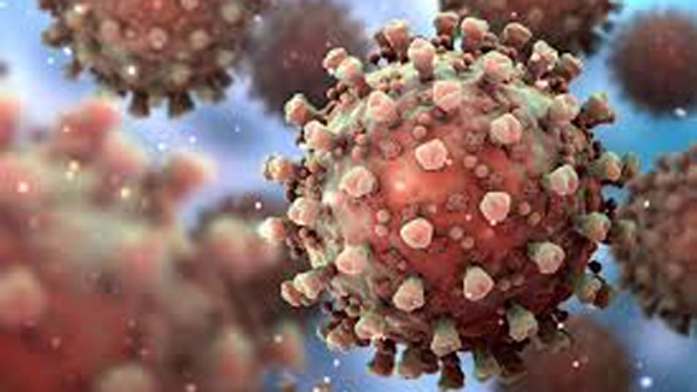 Coronavirus in North Bengal: Driver along with his family sent to Quarantine for having tea outside