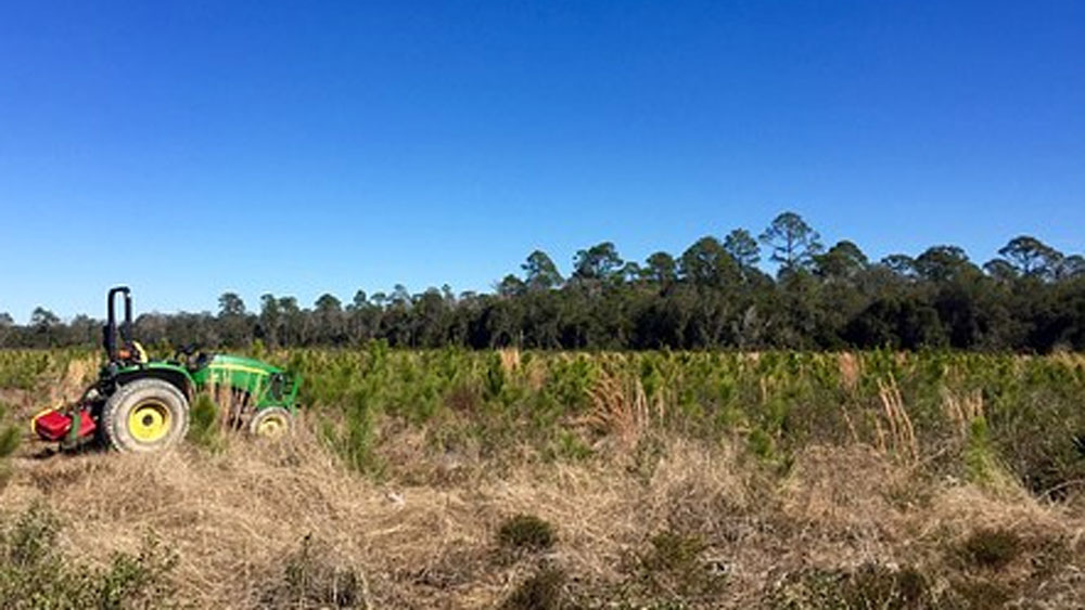 Coronavirus Lockdown: Central Government takes initiative to start searching for Land investments 