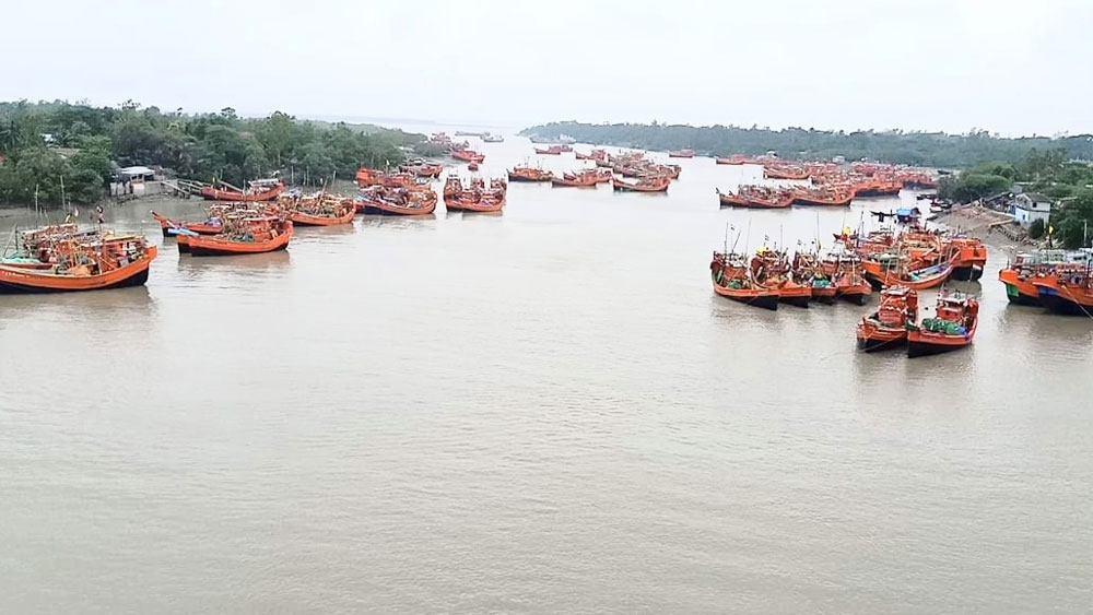 Coronavirus Lockdown: Fisherman faces loss due to Lockdown