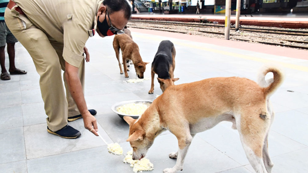 West Bengal Lockdown: Durgapur GRP officer providing food to street dogs