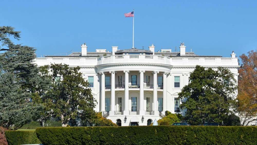 পুরো ভবনটিকে রং করতে ব্যবহৃত হয়েছিল ৫৭০ গ্যালন লেড পেইন্ট।