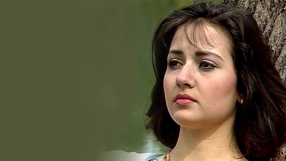 ১৯৮৮ সালে প্রথম টেলিভিশনে কাজ জেবার। পিটিভি-তে নাটক ‘আনারকলি’-তে অভিনয় করে বিনোদন দুনিয়ায় পা রাখেন তিনি।