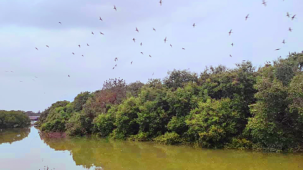 প্রতীকী ছবি