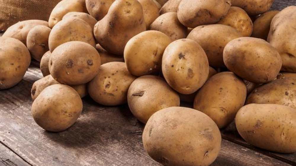 ফলে বেলজিয়াম জুড়ে নষ্ট হচ্ছে ৭ লক্ষ ৫০ হাজার টন উদ্বৃত্ত আলু।