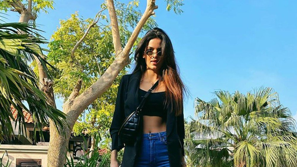 দু’বছর পরে প্রচারের আলোয় আসেন নাতাসা। সে বছর তিনি অংশ নেন বিগ বস-এ। পাশাপাশি, বাদশার মিউজিক ভিডিয়ো ‘বন্দুক’-এ অভিনয় করেন। বাদশার গান ‘ডি জে ওয়ালে বাবু’ নাতাসাকে পরিচিতি দেয়।