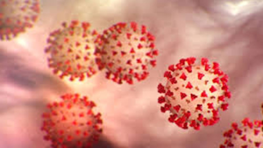 9 infected in one day in the district creates anxiety