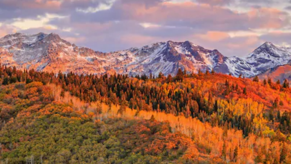 ৯ কেজি ওজনের বাক্সে রাখা ছিল ১০ কেজি ওজনের গুপ্তধন। ফেনের দাবি, দুর্ভেদ্য বন পেরিয়ে তিনি নিজে গিয়ে ওই বাক্স রেখে এসেছিলেন। (ছবি: শাটারস্টক)